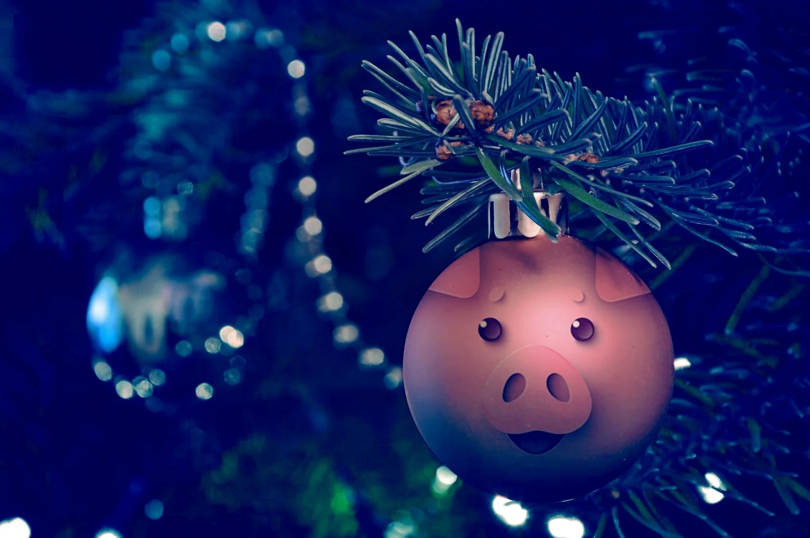 С новым 2019 годом!